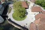 Schloss Hallwil (26)